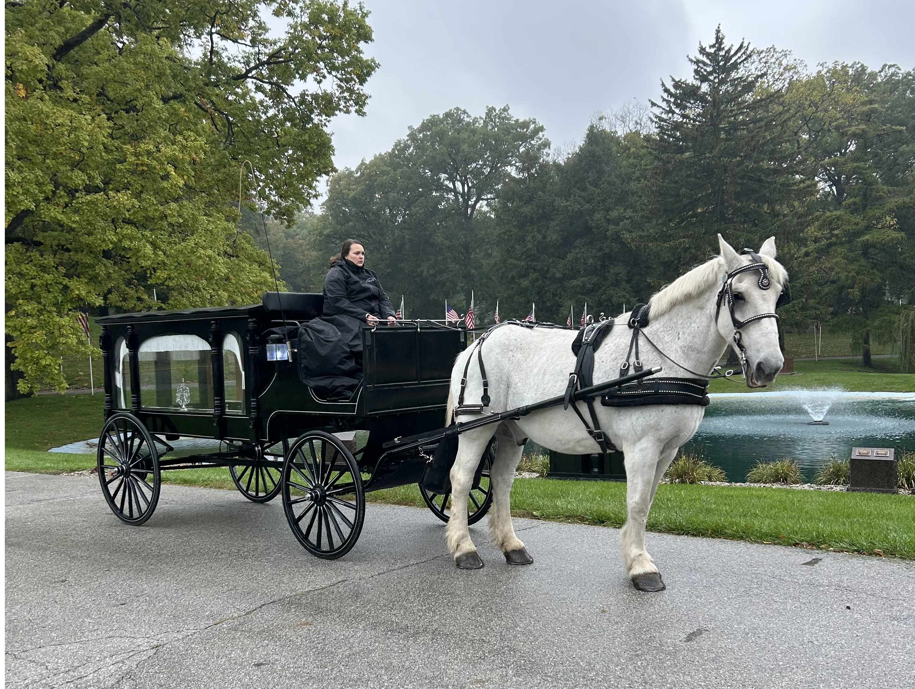 Horse-drawn hearse service - image 1